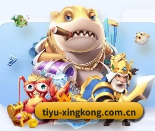 tiyu-xingkong.com.cn的故事